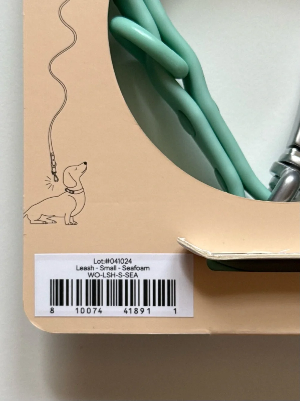 Wild One Adjustable Waterproof FlexPoly Coated Nylon Dog Leash - Small - Seafoam